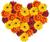 gerbera43