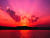 maryrosyma