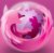 pinkfirefox