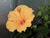 test103