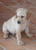 test107