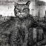 jonesthecat_ver.2.1