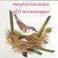 semplicissimaidea