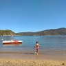 monica.tobia